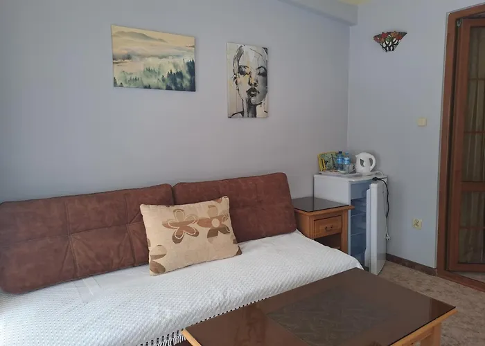 威拉维森卡旅馆 3* 扎科帕内