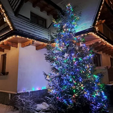 Wisienka * Zakopane