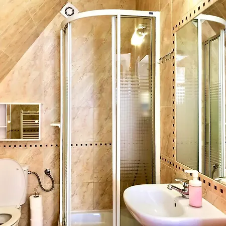 Wisienka Guest house *